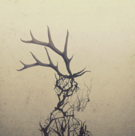 Parapente-Music Label-Musique Nantes France