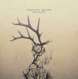 Parapente-Music Label-Musique Nantes France