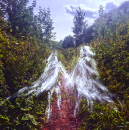 Parapente-Music Label-Musique Nantes France