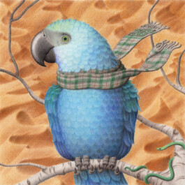 Parapente-Music Label-Musique Nantes France