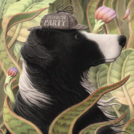 Parapente-Music Label-Musique Nantes France