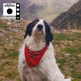  Parapente-Music Label-Musique Nantes France